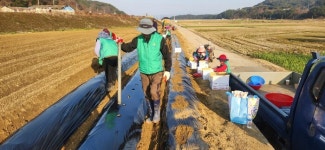 남해군 고현면, 사랑나눔 감자심기 행사