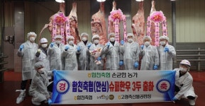 합천군 적중면 손균한 씨 농장서 슈퍼한우 3마리 동시 출하 화제