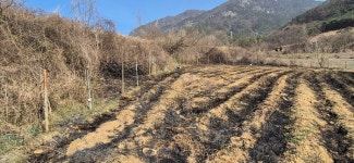 충남 금산서 들불, 산불 잇따라...1명 화상