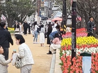 [포토]김해시 내동 연지공원 3월 마지막 주말 상춘객 인파