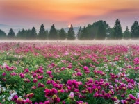 합천군, 제9회 합천관광 전국사진공모전 연다...10월14일부터 접수