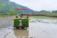 함양군 휴천면, 지리산골짜기 첫 모내기