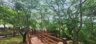 창원특례시 푸른도시사업소 2분기 정례브리핑