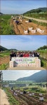보령시 대천1동 주민자치위원회, 이웃사랑 감자 나눔 함께 해요