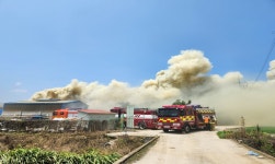충남 예산 돈사서 불...돼지 1300마리 폐사