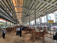 거창군, 경남 한우경진대회 3개 부문 입상 쾌거