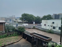[포토] 집중호우 속 진해구 신이천
