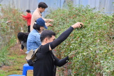 충남도 공보관실, 청양 구기자 농장 찾아 따뜻한 손길 전해
