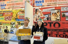 경남농협, 2024년 쌀 수확기 수급회의