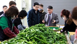 경남농협, 풋고추 수급현황 현장점검...현장 애로사항 청취