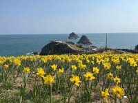 부산시 남구, 제43회 오륙도 사랑 걷기대회 개최
