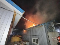 충남 아산 돈사서 불...자돈 450마리 폐사
