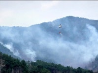 전북 무주군 부남면서 산불 발생...주택 1채 전소, 농막 1개동 시설물 피해