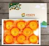 서귀포시, 주차 질서 확립 위한공영주차장유료화