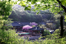 서산시, 충남으로 떠나는 레트로 낭만열차 투어 본격 운영