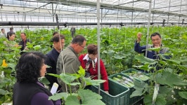 함평군, 애호박 농가 경쟁력UP! 재배기술UP!