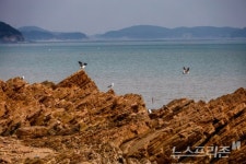 [윤기자와 떠나는 인천여행] 도심에서 잠시 벗어나고 싶을 때, 인천 승봉도
