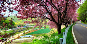 산청 오부면, 2025 산청방문의 해 앞두고 관광객 맞이 준비 박차