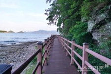 [윤기자와 떠나는 고성 여행] 시간을 걷는 여행, 고성의 감성과 지층을 밟다