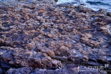 [윤기자와 떠나는 고성 여행] 시간을 걷는 여행, 고성의 감성과 지층을 밟다