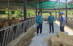 이동률 합천군 농업기술센터 소장 폭염 관리 총력 강조