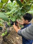 대전동부교육지원청, 특수교육대상학생 찬샘마을 현장체험학습