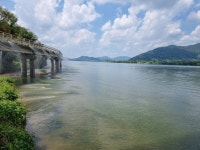 경남도, 낙동강 녹조 관리 총력 대응…비상대응체계 돌입
