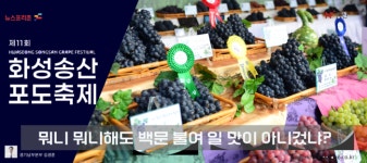 [프리존TV] 가을하면 화성송산포도축제였지?