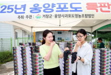 [포토] 거창군 웅양면, 직판장서 웅양포도 판촉 나서