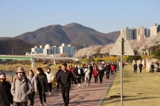 밀양시, 10월 문화와 체육 어우러진 가을 축제 풍성