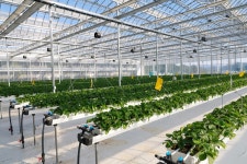 대전 유성구, 디지털 농업혁신 스마트팜 개장...미래농업 시동