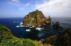 독도기념의 날 테마로 한 독도 굿즈 독도 한잔 미니컵 인기