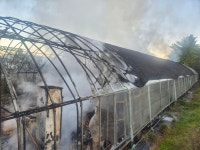 당진 비닐하우서 불...4000만 원 재산 피해