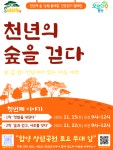 천년의 숲 상림, 걷기와 문화가 만나다