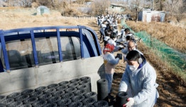 연탄 가루 속에서도 빛난 연대…화성특례시의회의 겨울 봉사