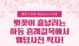 하동군, 꽃잎 흩날리는 십리벚꽃길에서 로맨틱한 추억을
