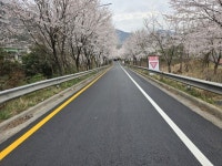 마산합포구, 시민 체감형 현장 행정 가속도