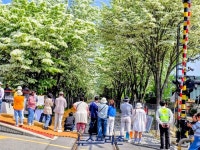 철길이 꽃길로…전주시 팔복동, 계절형 개방 실험
