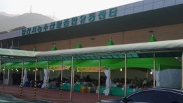 양산시농수산물종합유통센터 운영사 회생 개시결정