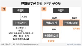 [Invest]한화솔루션,갤러리아·첨단소재 사업 떼낸다…㈜한화 아래 나열하는 3남 주력사업