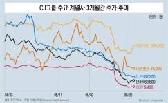 [Invest]바닥 모르는 CJ그룹주 주가…최후 보루는 CJ올리브영 매각 카드?