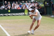 아시안은  찻잔 안의 태풍인가