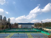 서울 입찰테니스장 인기폭발
