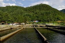 평창송어 양식장과 한국중고테니스연맹의 14,16,18세 시리즈 대회