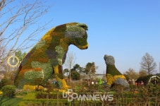 순천만국가정원 봄꽃축제 5월22일까지, 튤립·철쭉·유채꽃과 공연 많아 전남 순천·여수에서 가볼만한 곳으로 따봉! 순천만습지 근처에 맛집... 