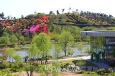 순천만국가정원 봄꽃축제 5월22일까지, 튤립·철쭉·유채꽃과 공연 많아 전남 순천·여수에서 가볼만한 곳으로 따봉! 순천만습지 근처에 맛집... 