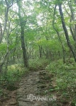 제주도 한라산 등산코스 중 계곡미와 산세가 최고인 관음사코스, 7월 2박3일 제주 여행 중 탐방하면 어떨까?