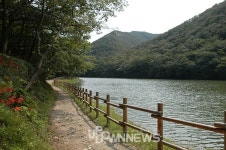 열리는 영광불갑사·함평용천사,고창선운산 선운사 등에 많은 이유는 탱화 때문? 서울성북동 길상사,성남분당중앙공원도 가볼만한 곳 눈길