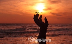 포항 호미곶해맞이광장과 상생의손은 동해안의 으뜸 해돋이명소