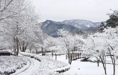전북 정읍 내장산국립공원 기슭의 내장호둘레길에 단풍보다 더 멋진 설경이...